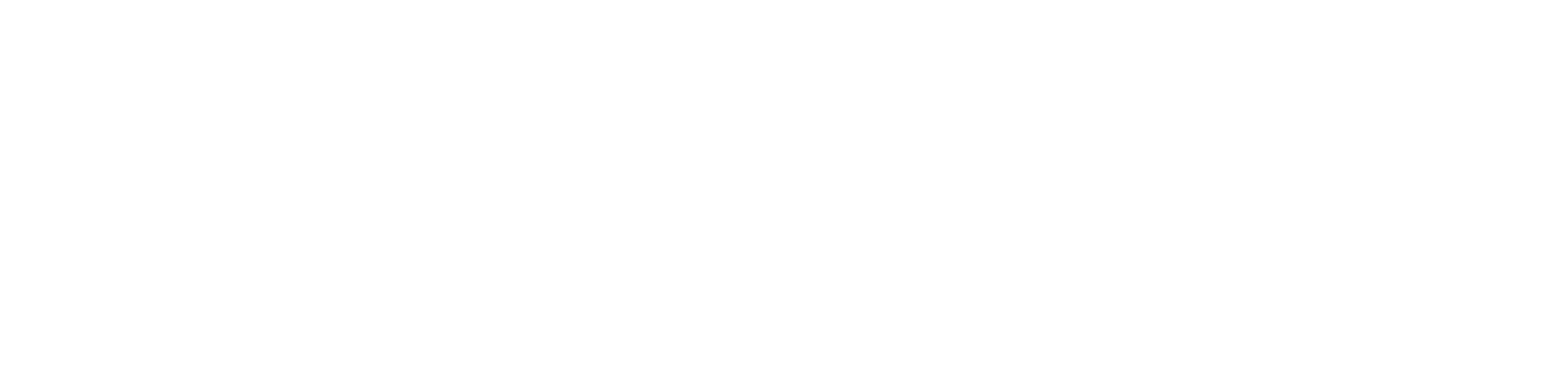 EU Funded Logo