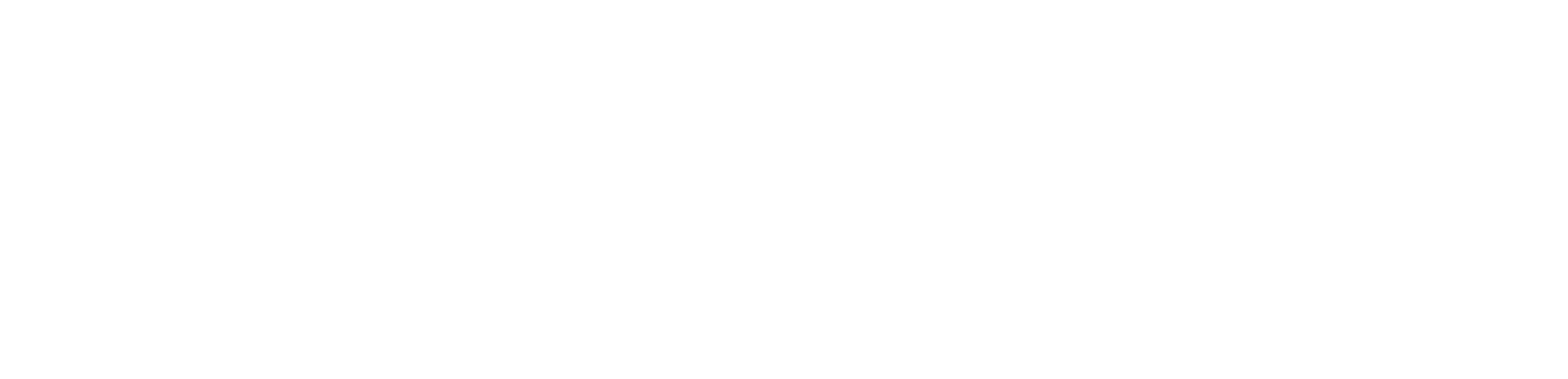 EU Funded Logo